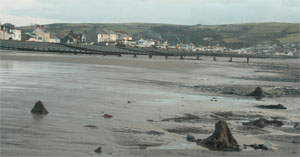 Borth beach at low tide wth the petrified forest exposed