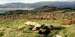 Taliesin's grave